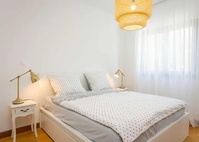 Pet-friendly In Ližnjan