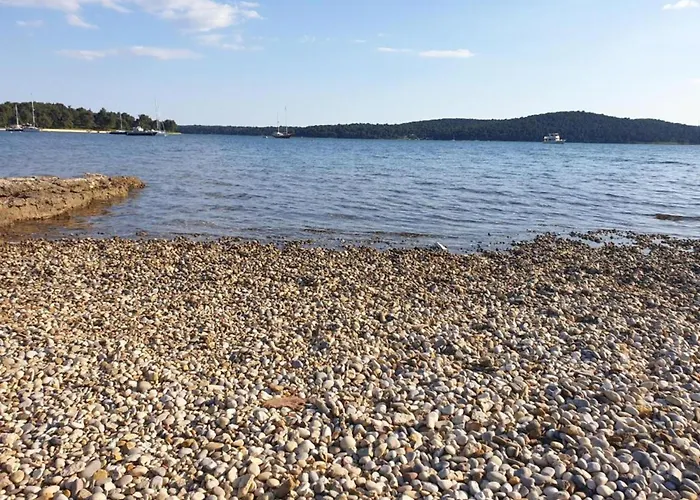 Pet-friendly In Lägenhet Ližnjan